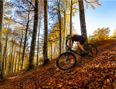 Mountain Biking in the Basque Mountains – Iraty Forest – Hotel MENDY