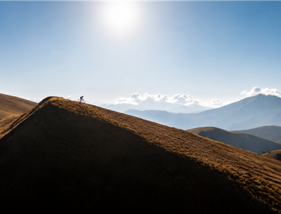 Mountain Biking in Iraty Forest – Basque Country