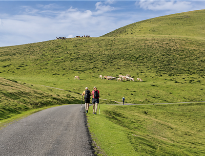 Hiking the Camino de Santiago in the Basque Country – Hotel MENDY