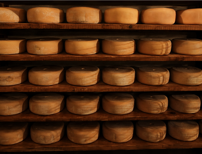 Farmhouse Ossau-Iraty Cheese from Basque Producers