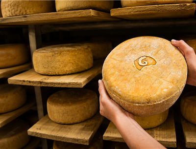 Basque Shepherd Cheesemaker and Direct Farm Sales – Hotel MENDY