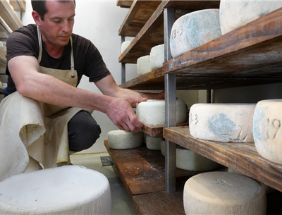Farmhouse Cheese Aging in Lower Navarre – Basque Country